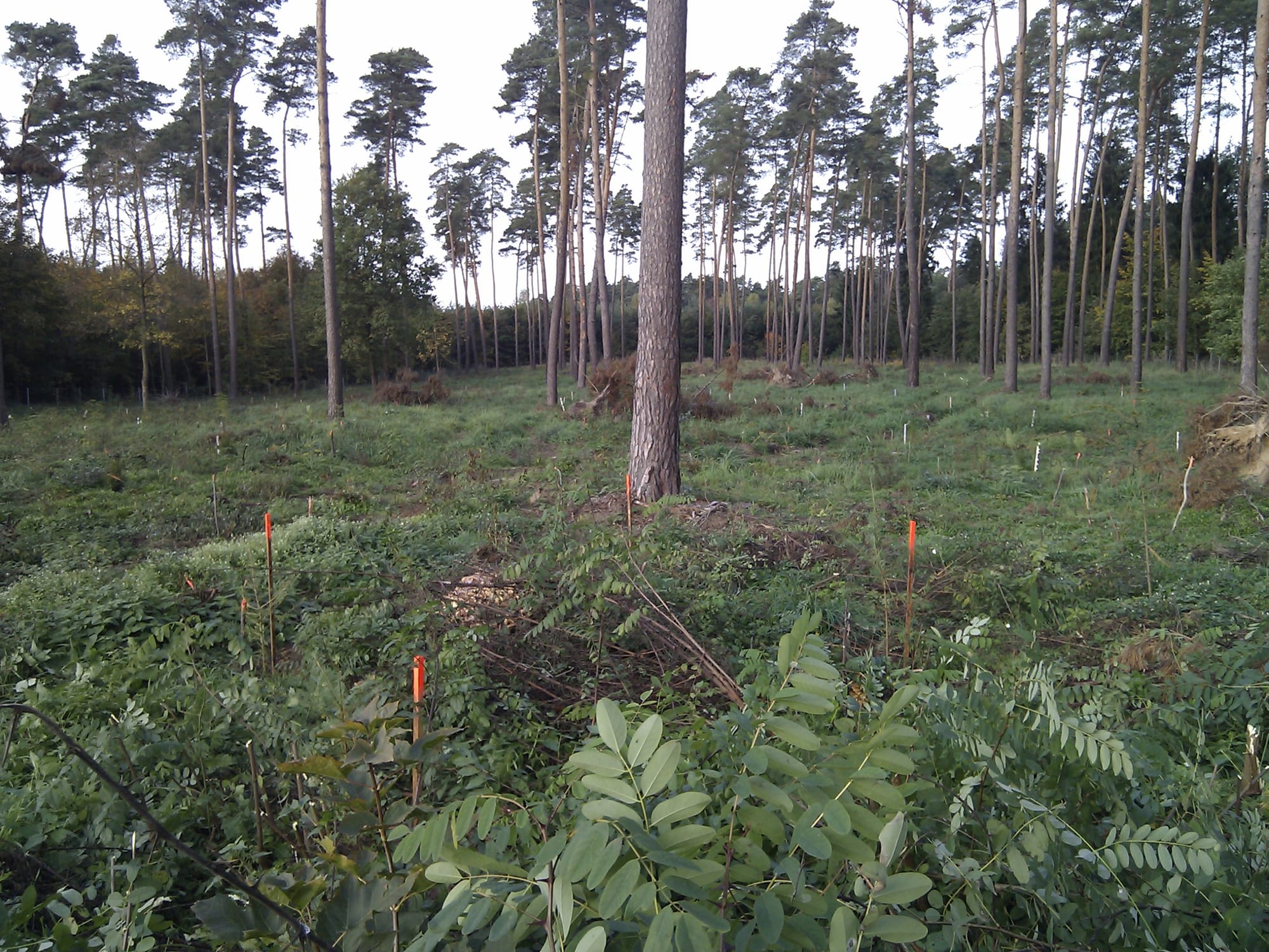 What I learned about meaningful work from Rudi